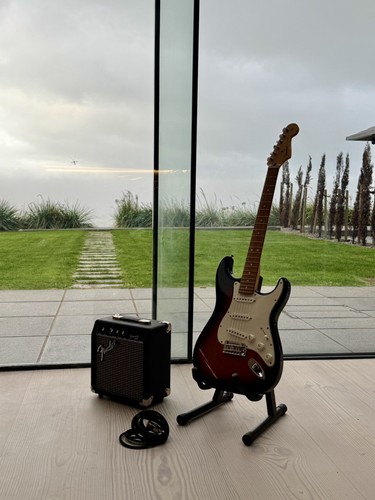 Fender stratocaster with - fender,